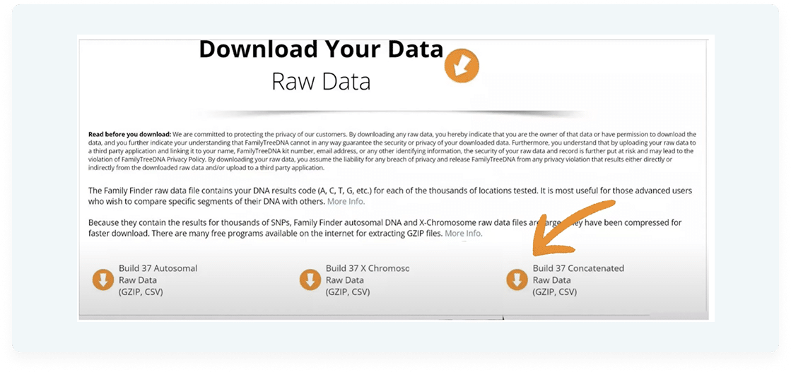 Download your data